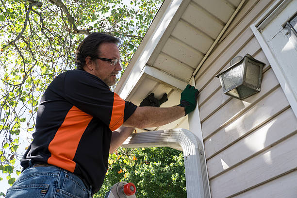 Best Storm Damage Siding Repair  in Tolleson, AZ